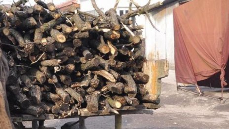 В Добротич: Хванаха четирима с купища незаконни дърва