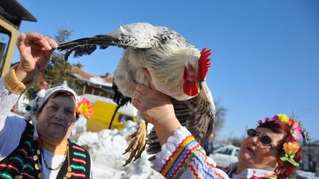 Петльовден в село Кривини (СНИМКИ)