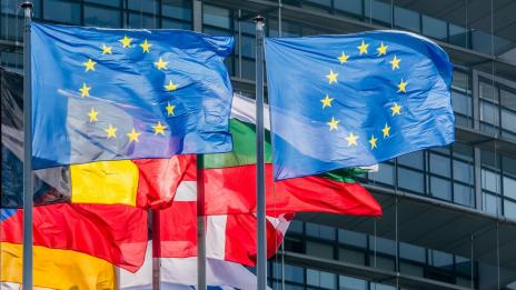 Комисарите, избрани за евродепутати, ще трябва да подадат оставка до 5 юли
