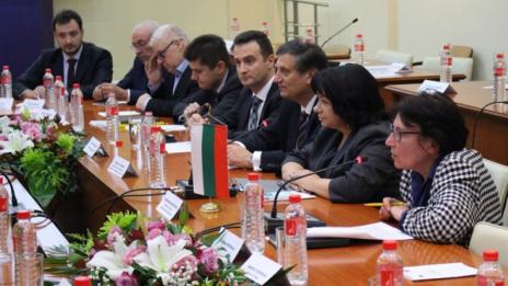 Т. Петкова: Доставките на азерски газ могат да задоволят около 30% от потреблението в България