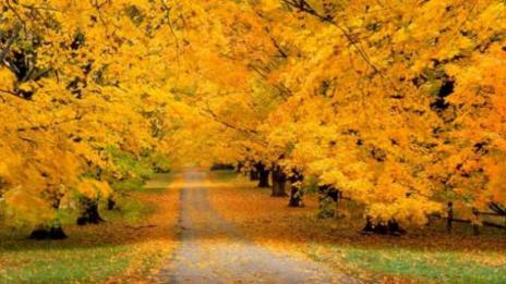 Слънчево време над Варна