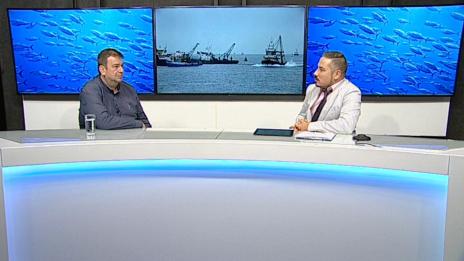 "Щрихи от утрото" (24.09.2019) - Какво е състоянието на рибните ресурси в Черно море?