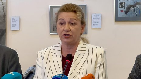 Предлагат родните нацисти да чистят улиците във Варна, както непалците