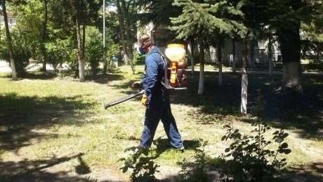 Продължават пръсканията срещу кърлежи във Варна