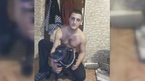 Питбул разкъса дворно куче, собственикът му – безучастен