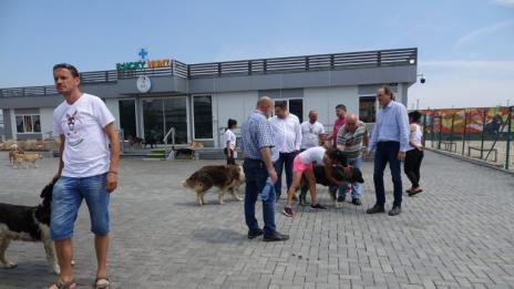 Съветници посетиха приюта за бездомни кучета във Варна