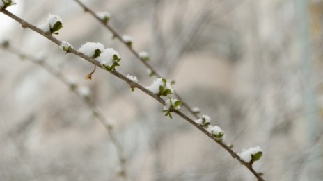 Очаква ни облачна и студена събота