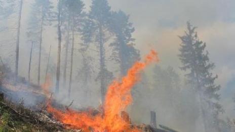 200 души и два хеликоптера гасят пожара в Рила