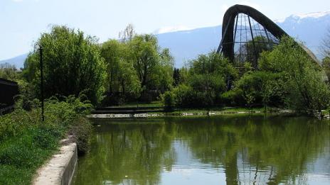 Освободиха директора на Софийския зоопарк