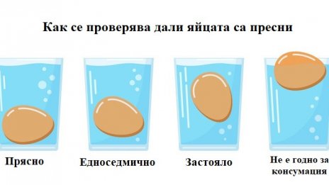 Как да проверим дали яйцата са годни