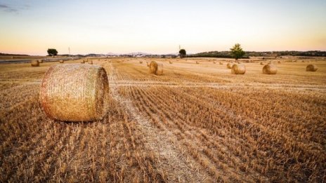Рентите над 3000 лв. ще се декларират