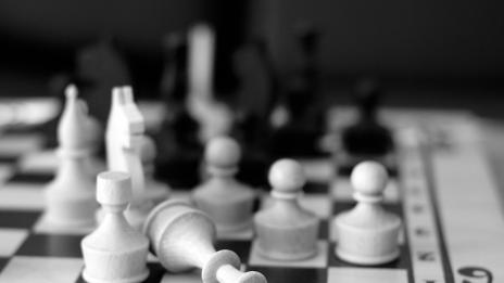 Варненец е шампион по шах