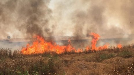 125 пожара са загасени в страната през изминалото денонощие