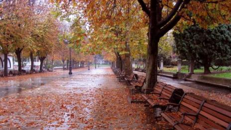 Сняг от четвъртък, температурите падат с 10 градуса