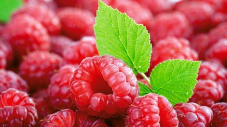 Започва Международно изложение на малинопроизводителите 