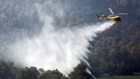 Голям пожар унищожи 190 хектара гора във Франция