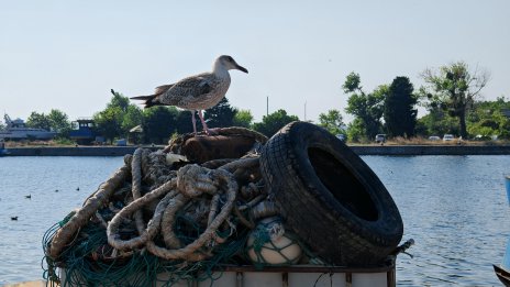 Какво ще е времето в неделния ден? 