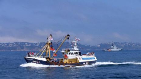 Намаляват запасите от риба в Черно море