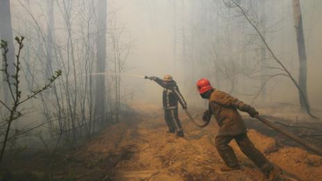 Пожарите около Чернобил са локализирани