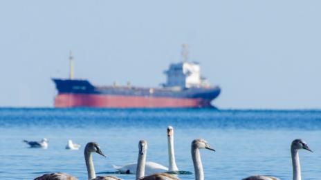 Слънчево, но студено време днес във Варна