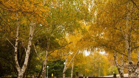 Ноемврийско лято