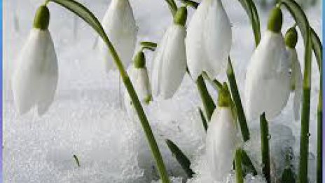 Пролет и зима ще се редуват през Малък сечко