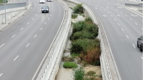 Като в джунглата: Новият булевард във Варна буреняса. Започват да го чистят