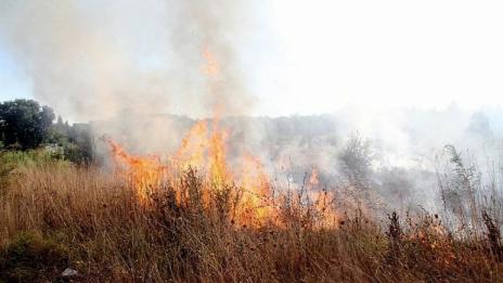 166 пожара са погасени само през вчерашния ден