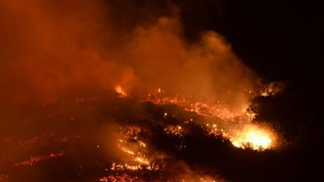 Реставратор подпалил пожара в Музея на авиацията