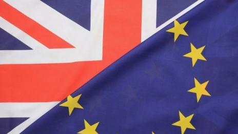 Милиардер дари 1 млн. лири за осъществяването на Brexit