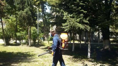 Продължава втора обработка на тревните площи срещу кърлежи и комари във Варна