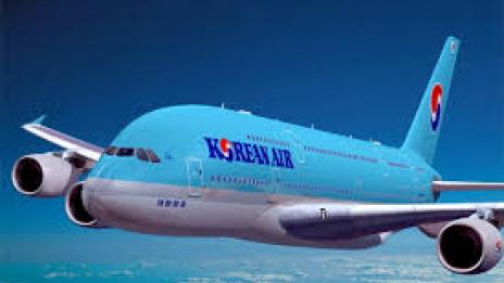 Дъщерята на шефа на Korean Air спря самолет заради зле сервиран аперитив