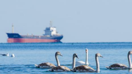 Новата седмица започва със слънчево време