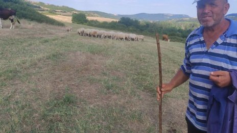 Богат-беден: Пенсионер на село с градинката, а и в града с апартамента?