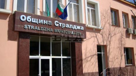 500 разкази и стихотворения в конкурса "Дървото на живота"