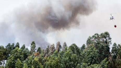 Разбил се е самолет, гасящ пожара в Португалия