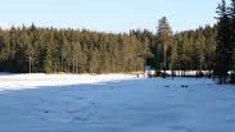 Язовир "Доспат" замръзна, ледът - 6-7 см