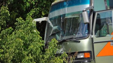 Крави преобърнаха автобус в Турция, 3 загинаха