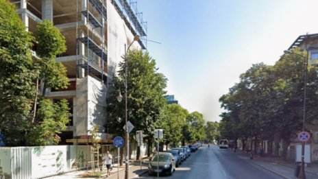 Съдът обяви за решаване делото за магнолиите в центъра на Варна