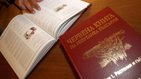 Повече застрашени видове в новата "Червена книга"