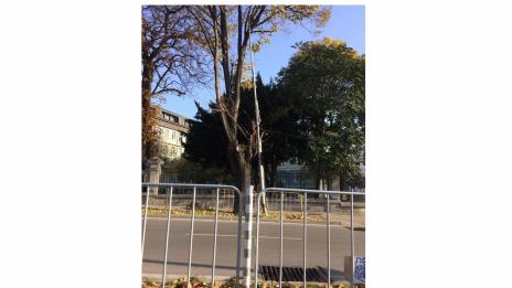 Парадокс във Варна