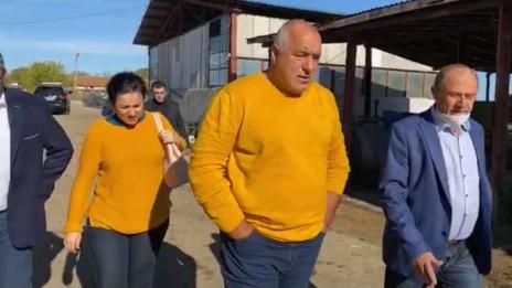 Неделя е! Борисов взе Ананиев и Танева и отидоха в кравеферма (ВИДЕО)