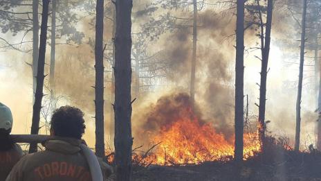 34 горски пожара от началото на годината в Североизточна България