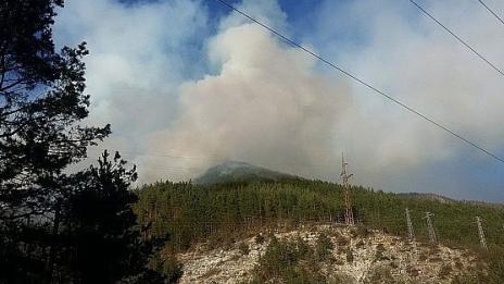 Локализиран е пожарът край Смолян