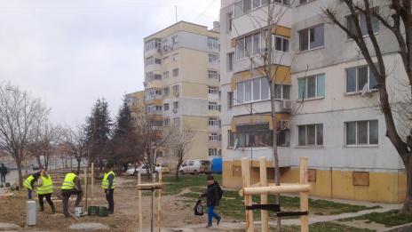 Продължава засаждането на дървета и храсти по новото трасе на бул &quot;В. Левски&quot; (СНИМКИ)