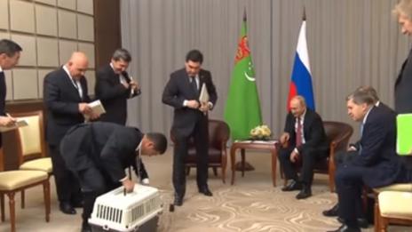 Подарък: Кучето Верний е новото попълнение сред любимците на Путин (ВИДЕО)