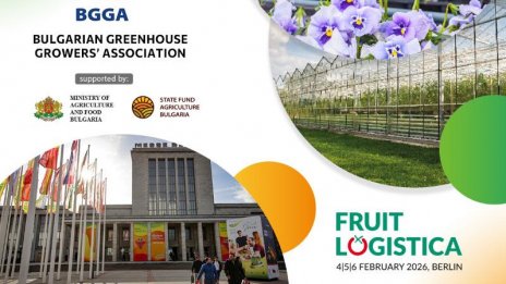 FRUIT LOGISTICA 2026: Изкуственият интелект променя всичко &ndash; готови ли сме за бъдещето?