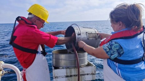 Изследват състоянието на морската среда в Черно море