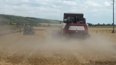 Зърнопроизводителите скачат срещу украинския внос