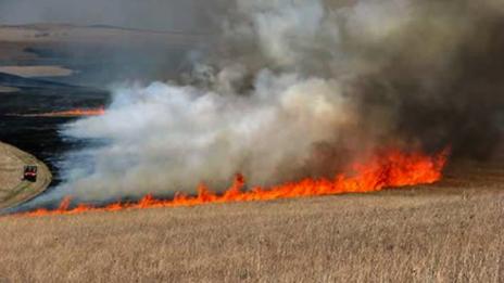 Десетки декари пшеница изгоряха при пожар край Варна
